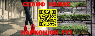 ПСИЛОЦИБИНОВЫЕ ГРИБЫ Тулун