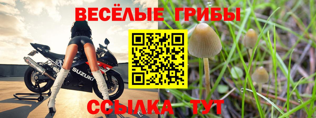 Галлюциногенные грибы MAGIC MUSHROOMS Новоалтайск