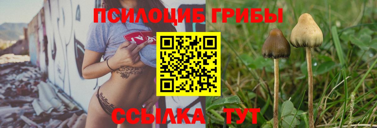 Псилоцибиновые грибы MAGIC MUSHROOMS  Галлюциногенные грибы мухоморы  Вход с VPN  сколько стоит  Новоалтайск 