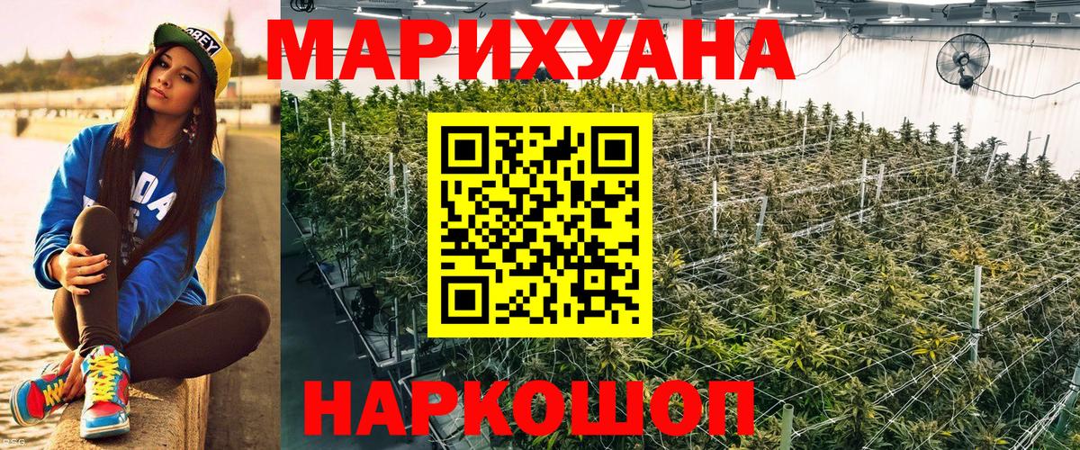 Конопля план Новоалтайск